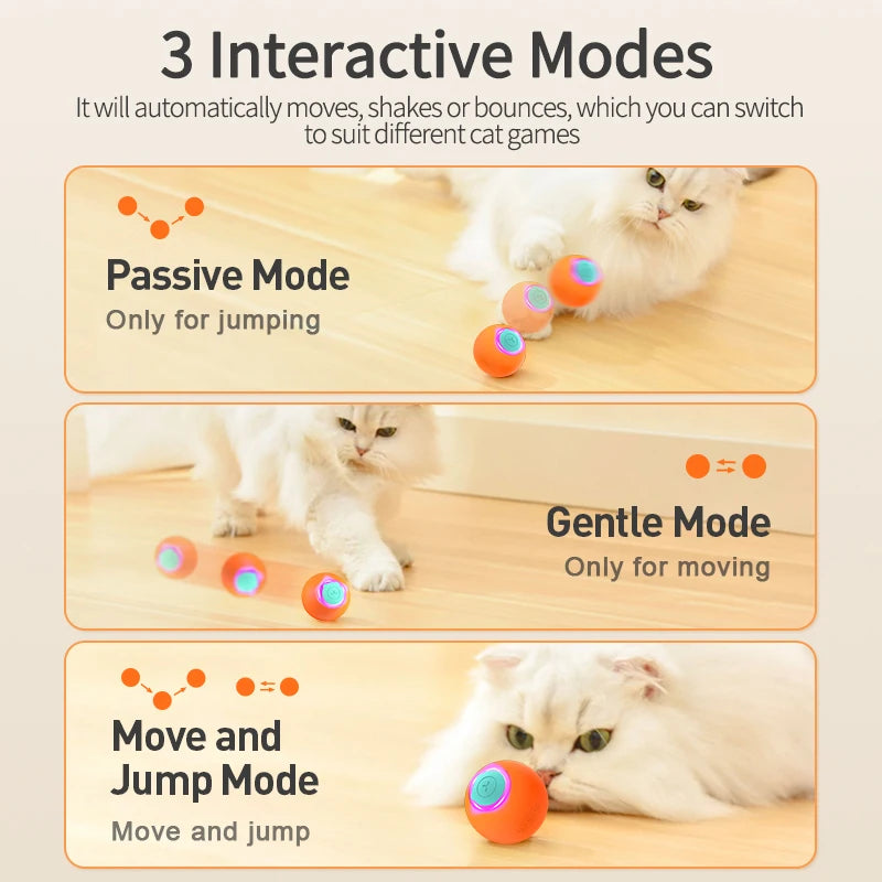 Cat Bouncing Ball Toy
