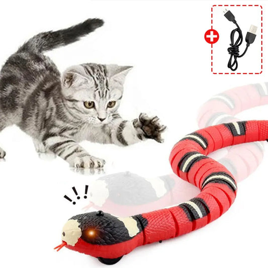 Eletronic Snake Cat Teaser Toys