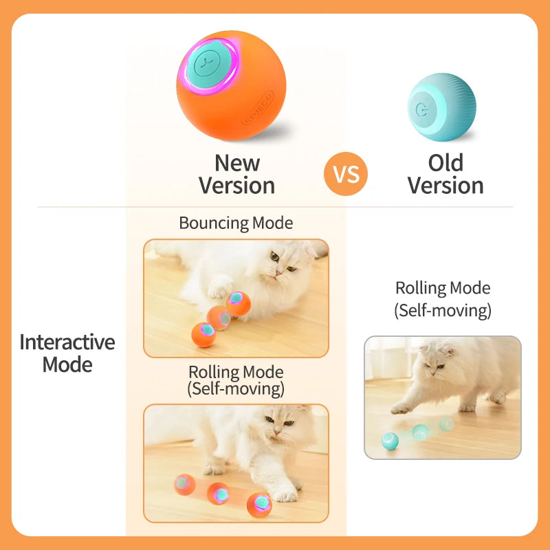 Cat Bouncing Ball Toy